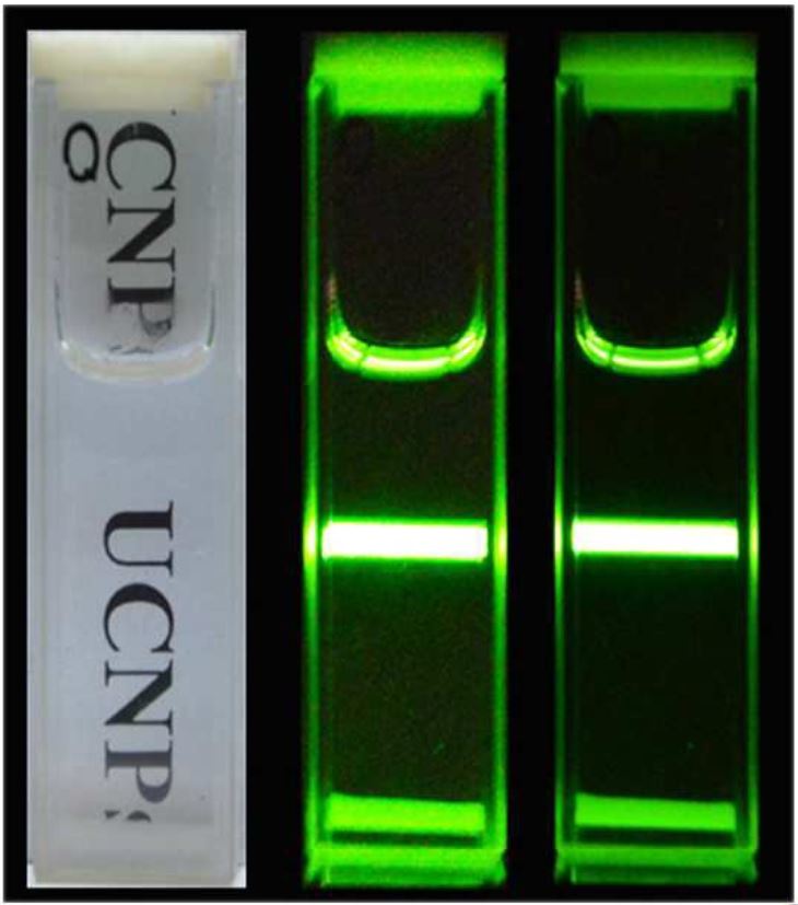 Bright UCNP fluorescence under NIR excitation